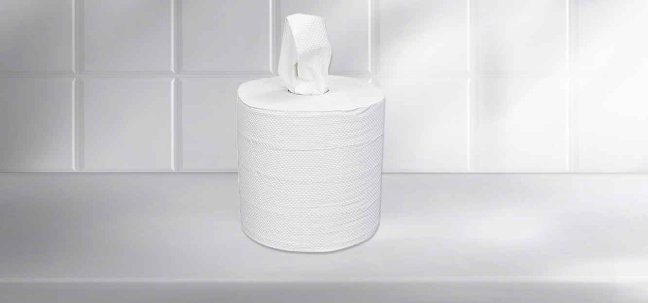 Center Pull Towels and Dispenser